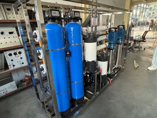 제조자 직판매 지능형 1 톤 / 시간 해수 해마화 시스템